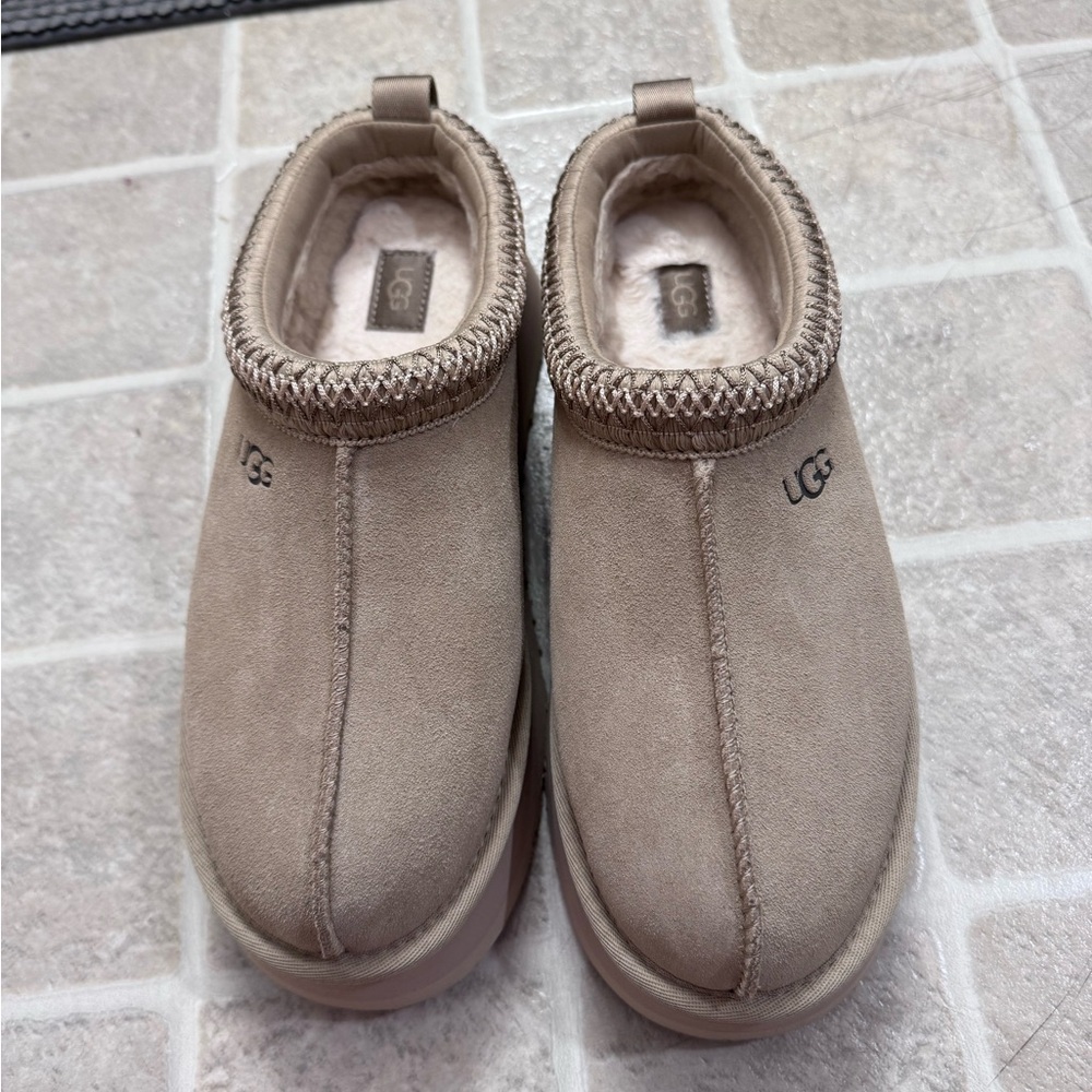 Ugg Tazz mustard seed